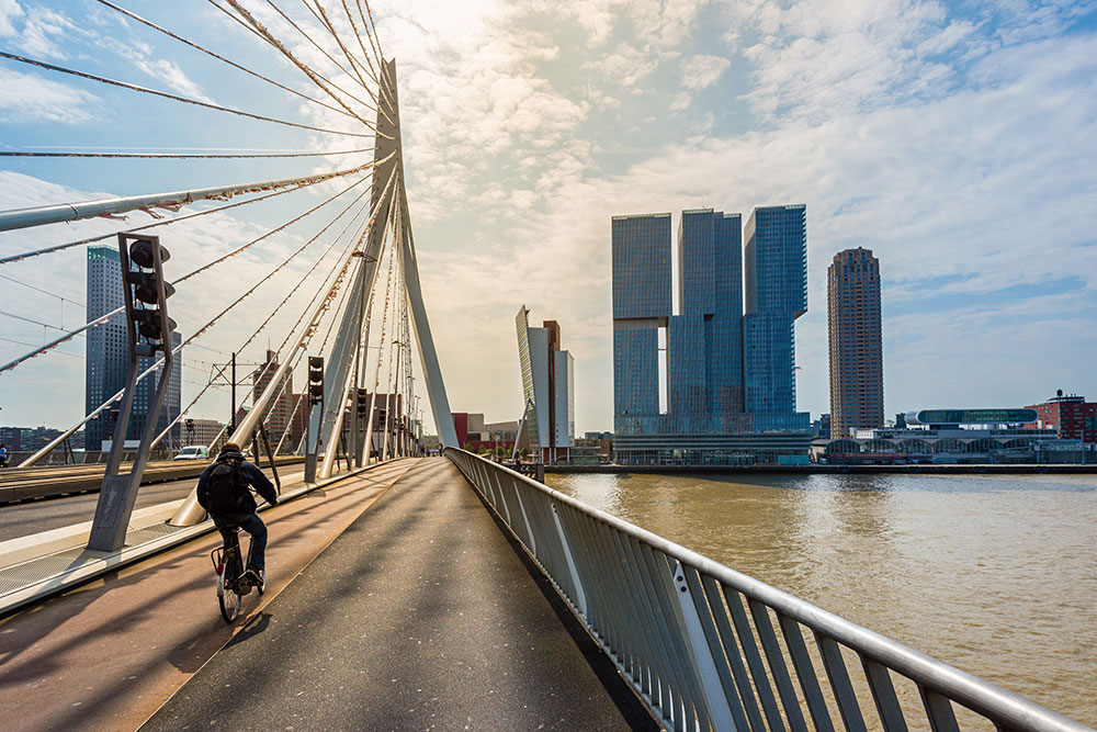 Erasmus-Bridge-in-Rotterdam-Netherlands