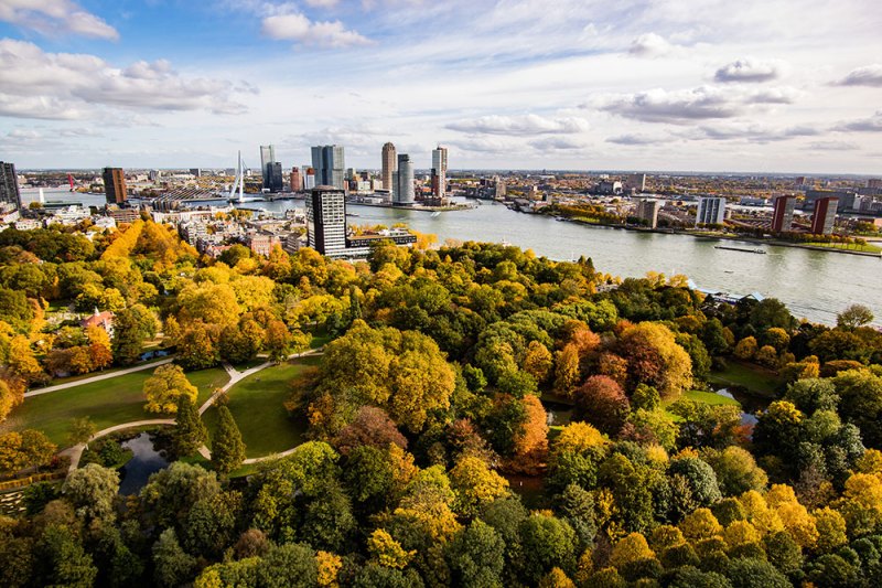 View-of-Rotterdam-with-park-in-the-front